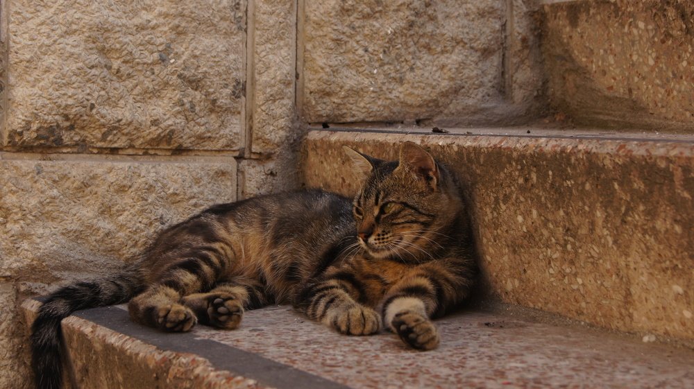 Photograph by Виктория Абрамчук