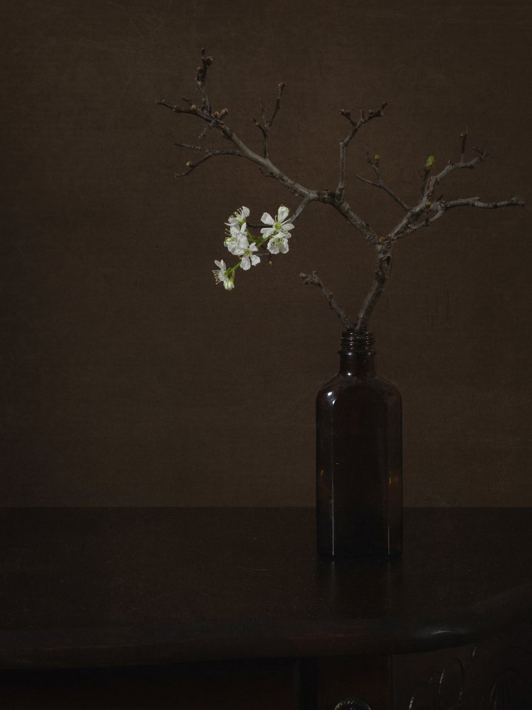 Photograph by Ольга Савостина