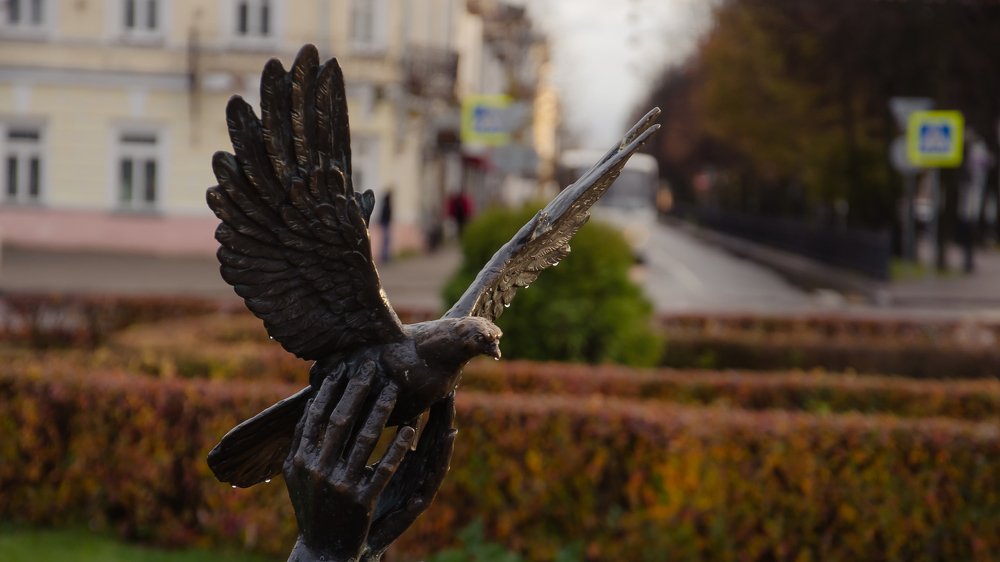 Фотография автора Дмитрий Войнов