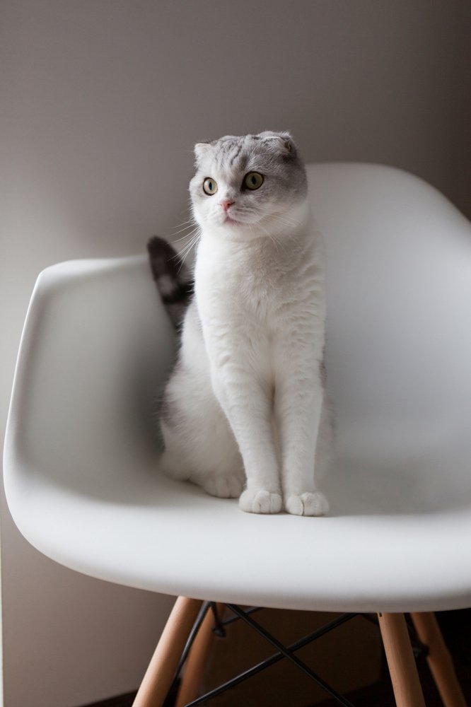 Photograph by Julija Šommet