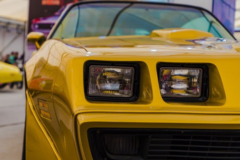 Фотография автора Mansoor Heydaryan