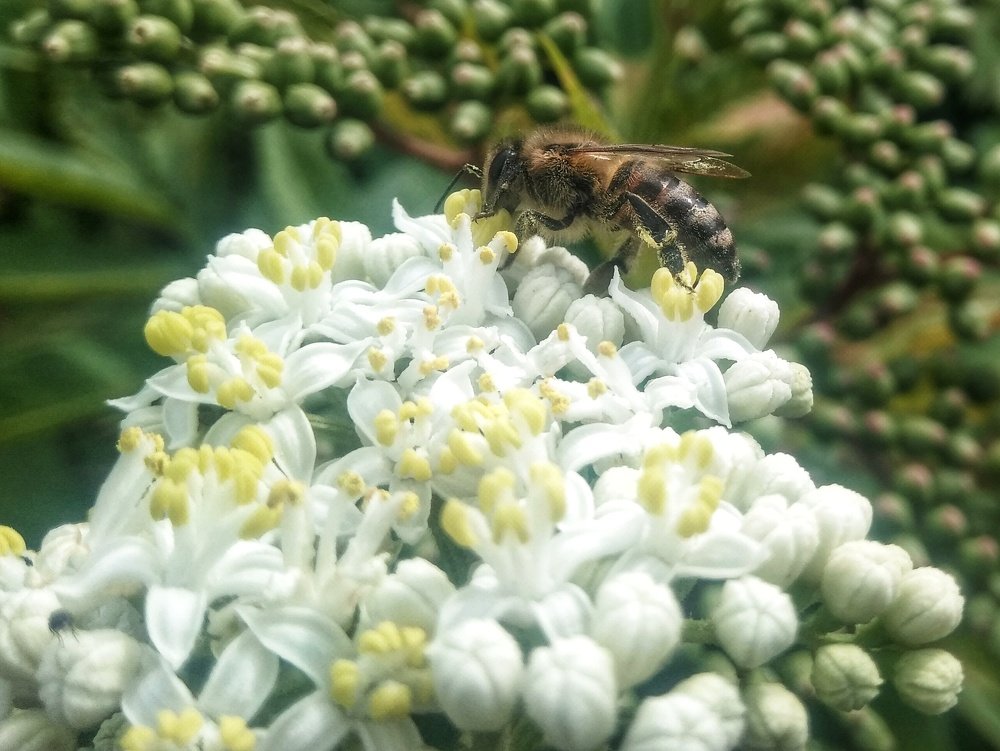 Photograph by Владимир Караман