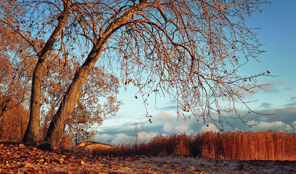 Фотография автора Eлена Пивнякова