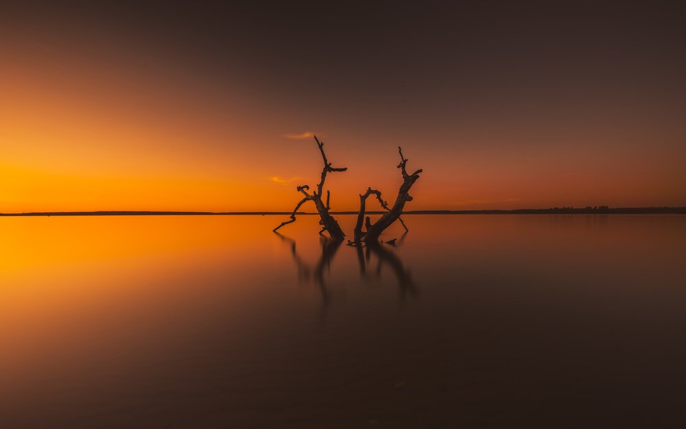 The core of beauty is simplicity