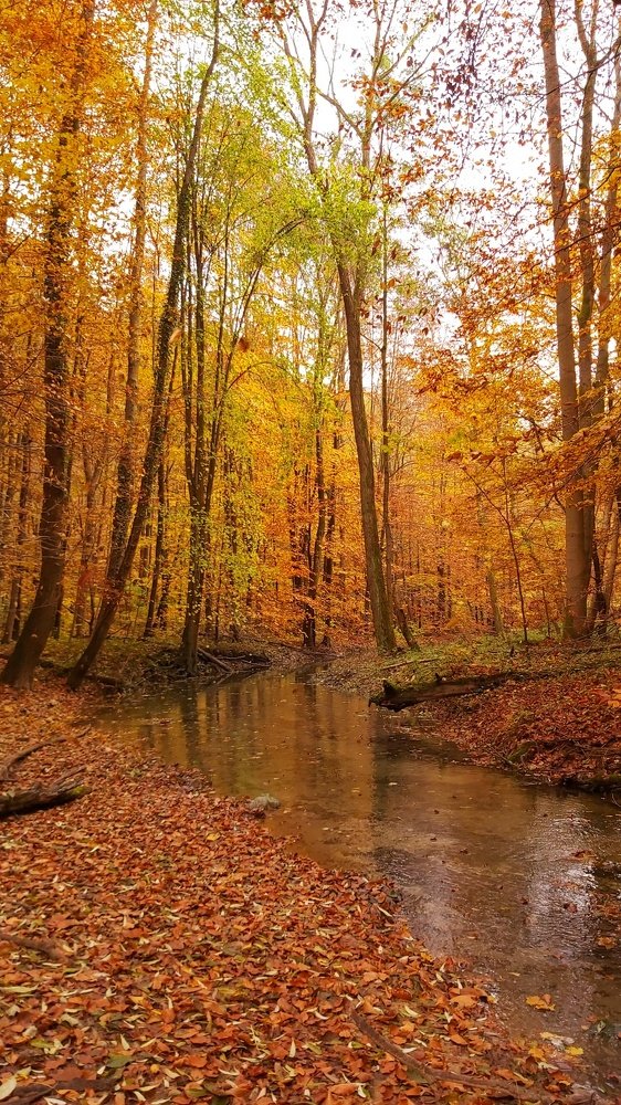 Photograph by Елизавета Рембицкая