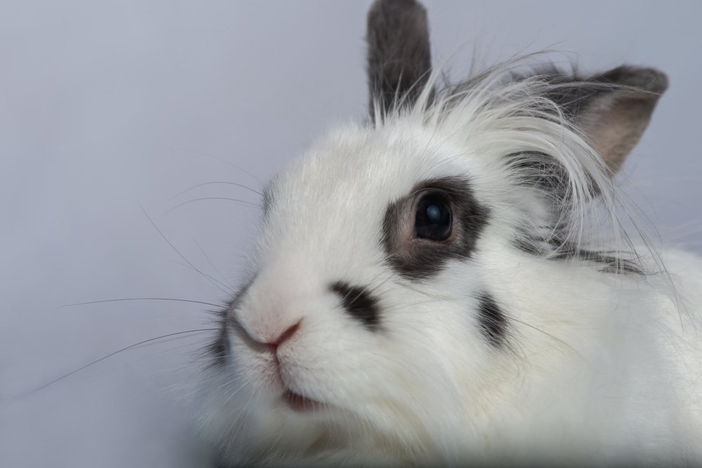 Photograph by Rimma Volchenko