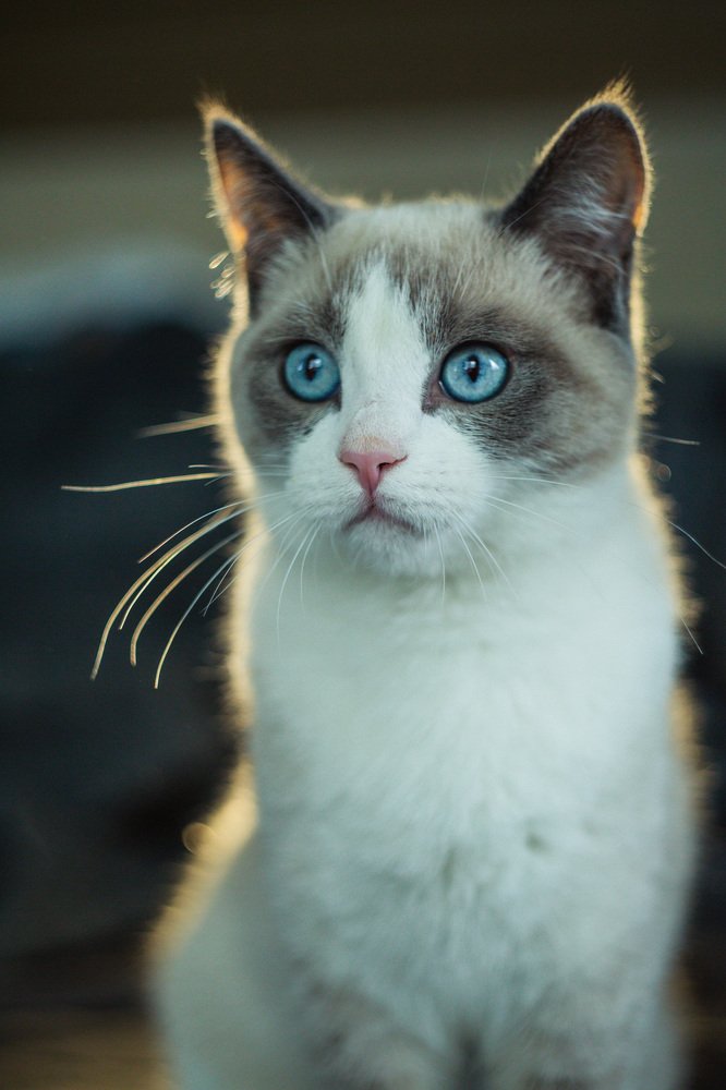 Photograph by Анастасия Охотникова