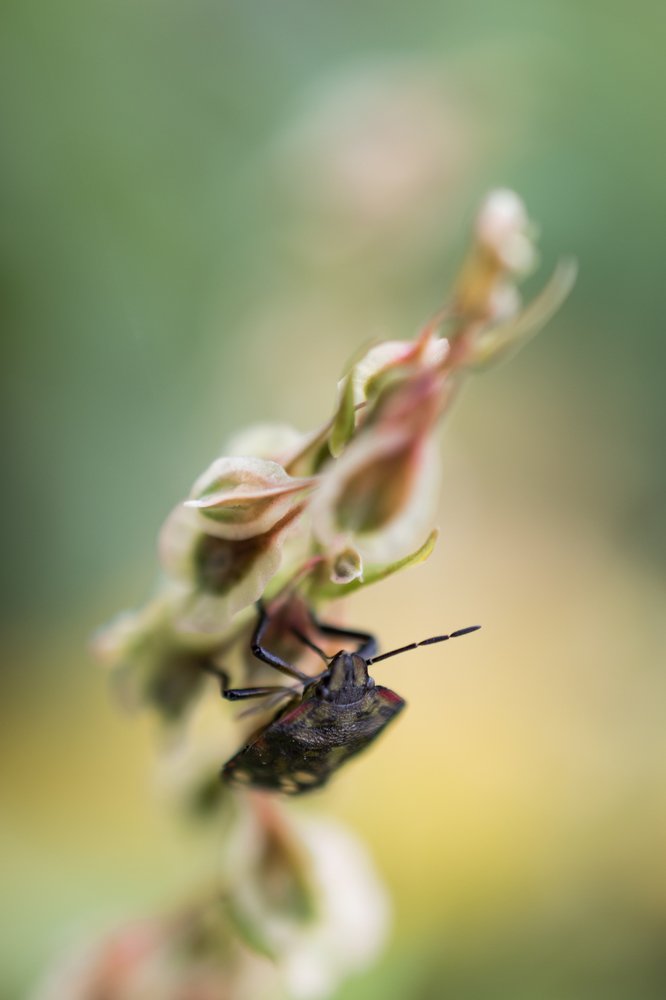 Photograph by Ivona Zubakova