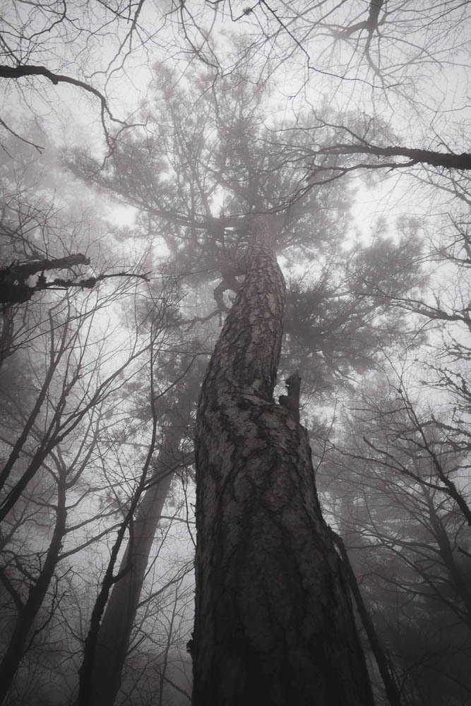 Photograph by Елена Станькова