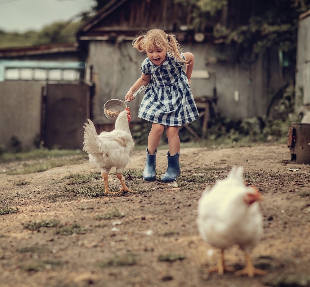 Фотография автора Елена Демикальщикова