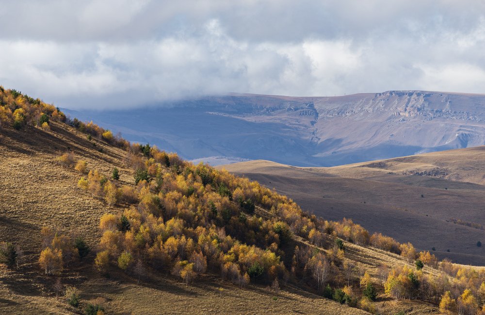 Photograph by Дмитрий Новоселов