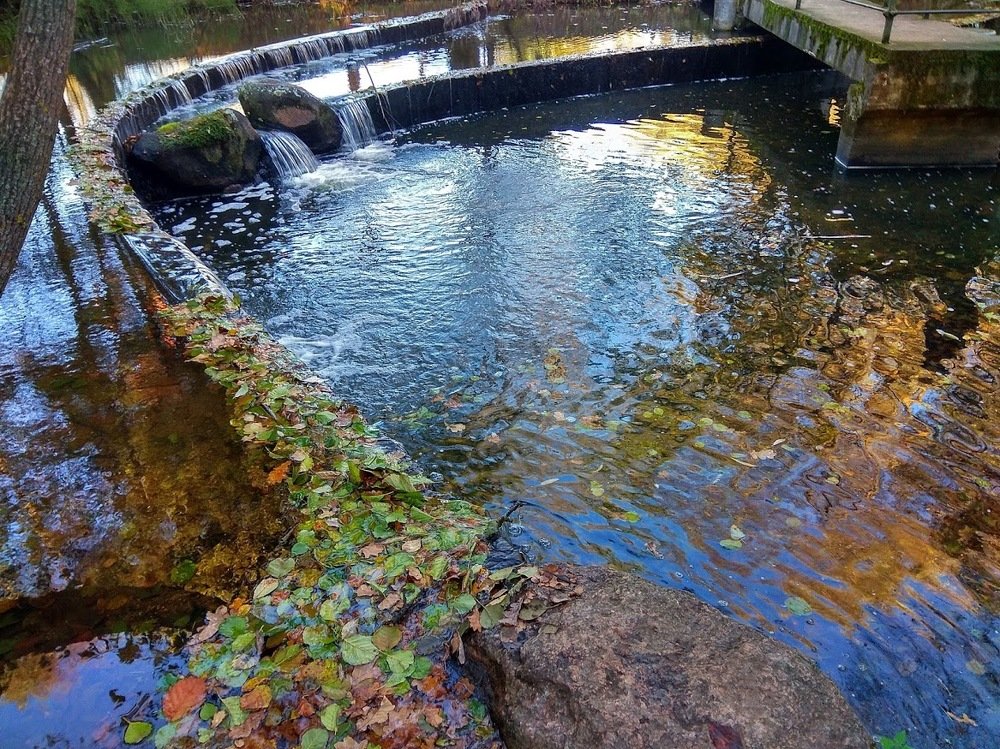 Photograph by Людмила Муравьева