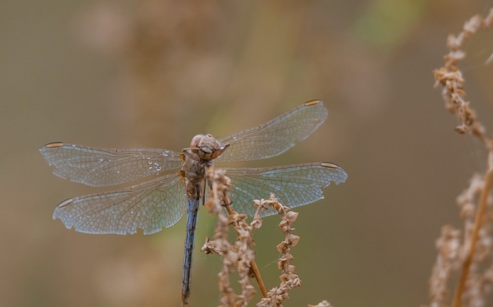 Photograph by Евгений