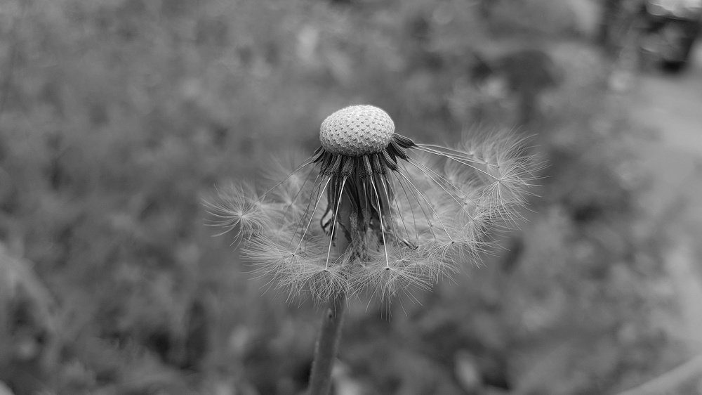 Photograph by Хачик Аджатян