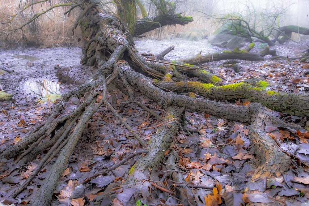 Photograph by Евгений