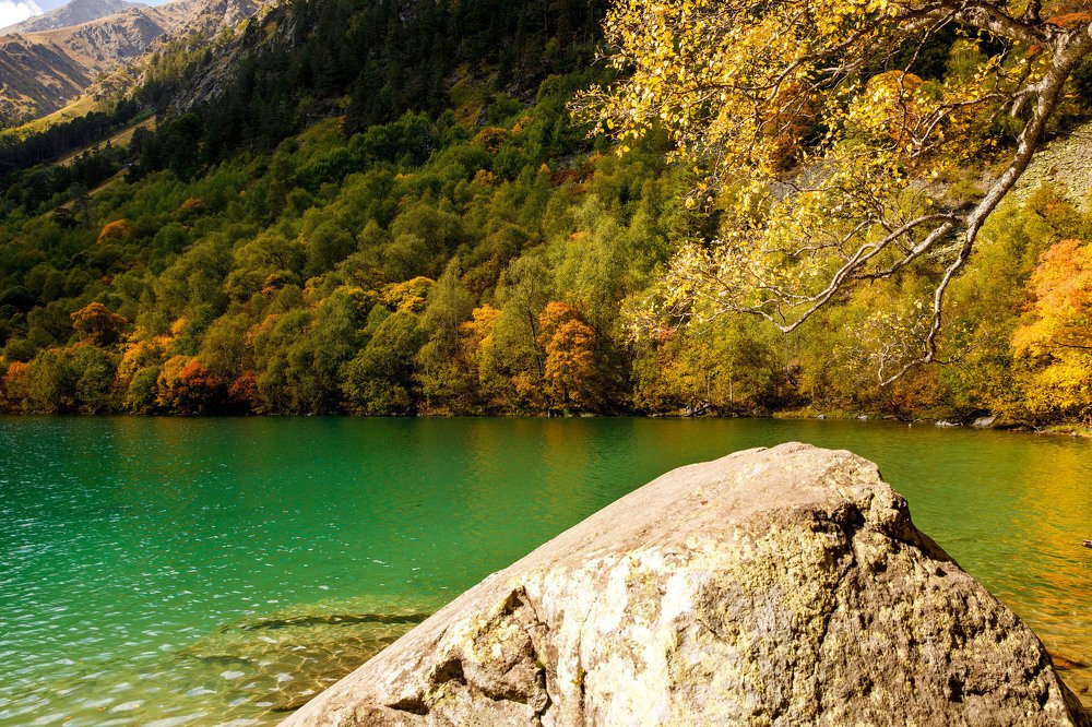 Photograph by Виктория Шакула