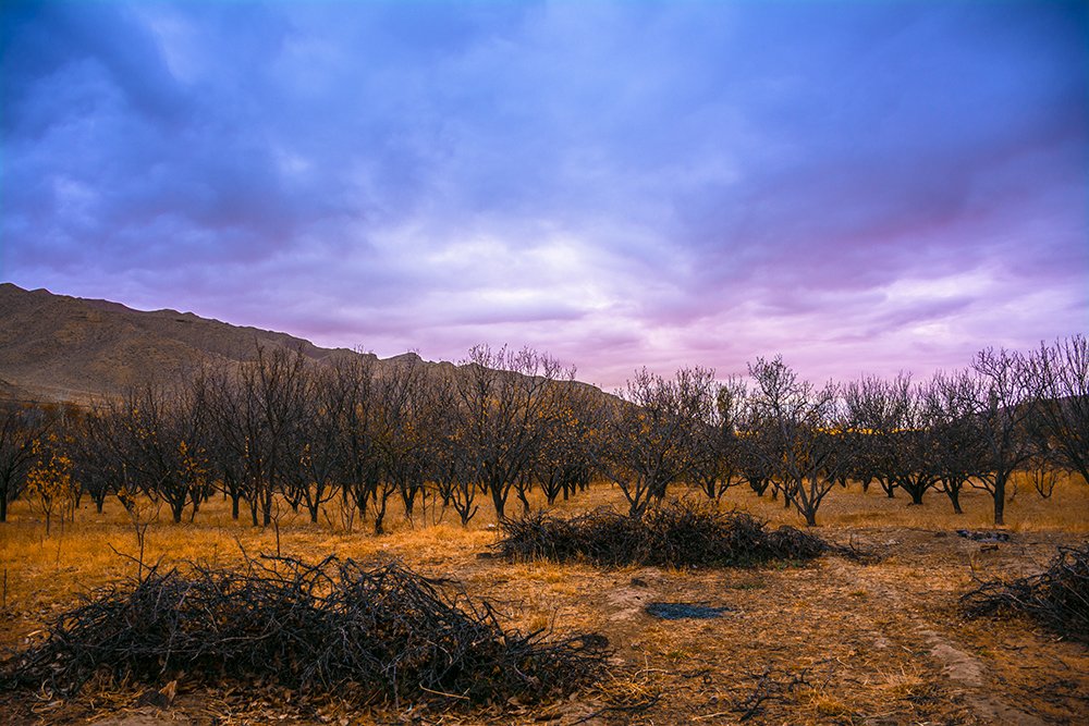 Photograph by Mohammad Ebrahim Zolfaghari