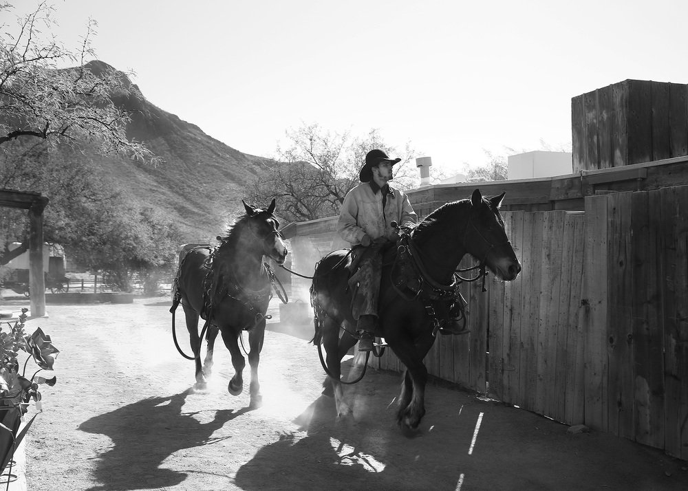 Photograph by Lana Anferow