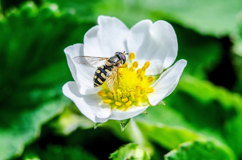 Photograph by Сергей Абрамов