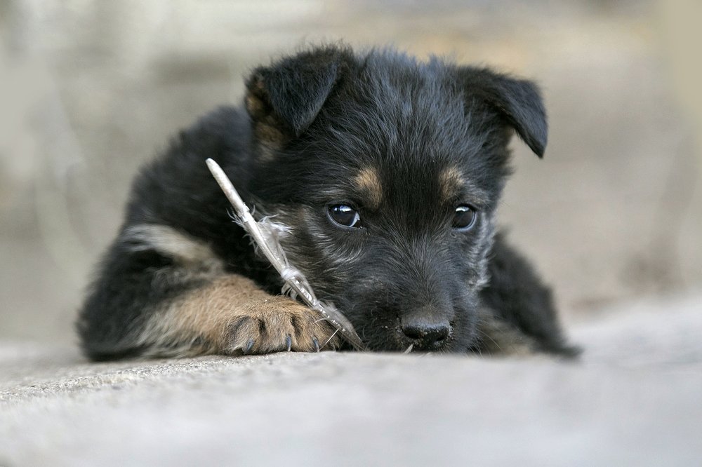 Photograph by Инна Тычная