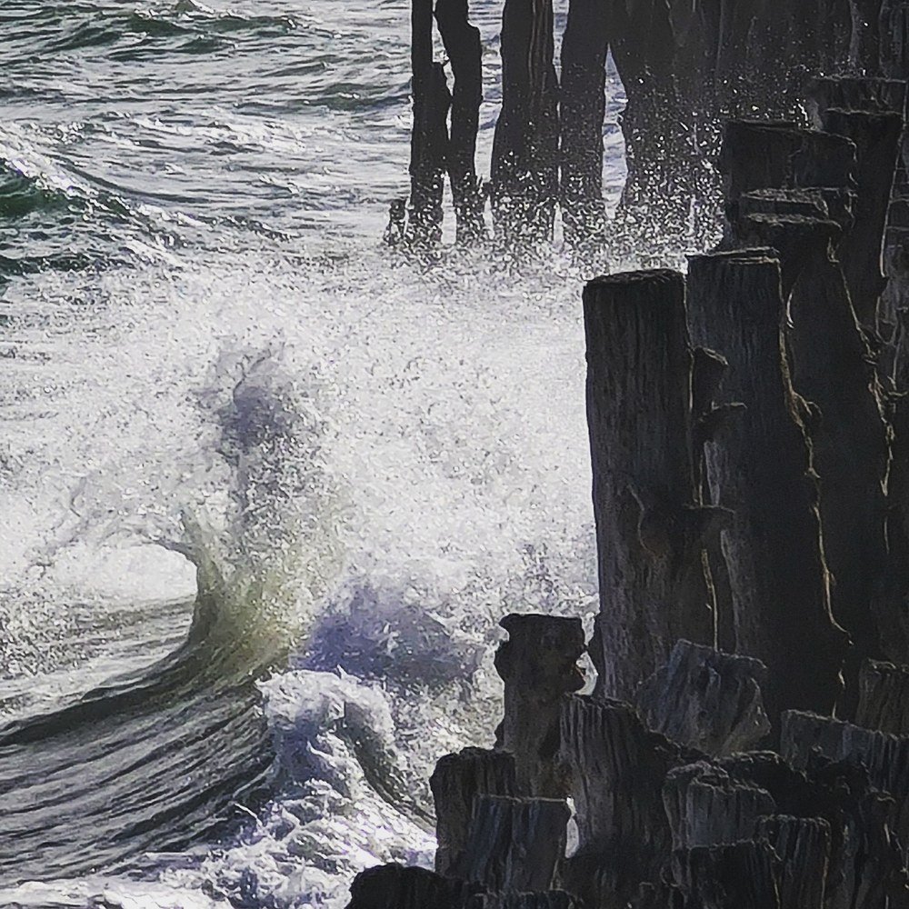 Photograph by Barszcz