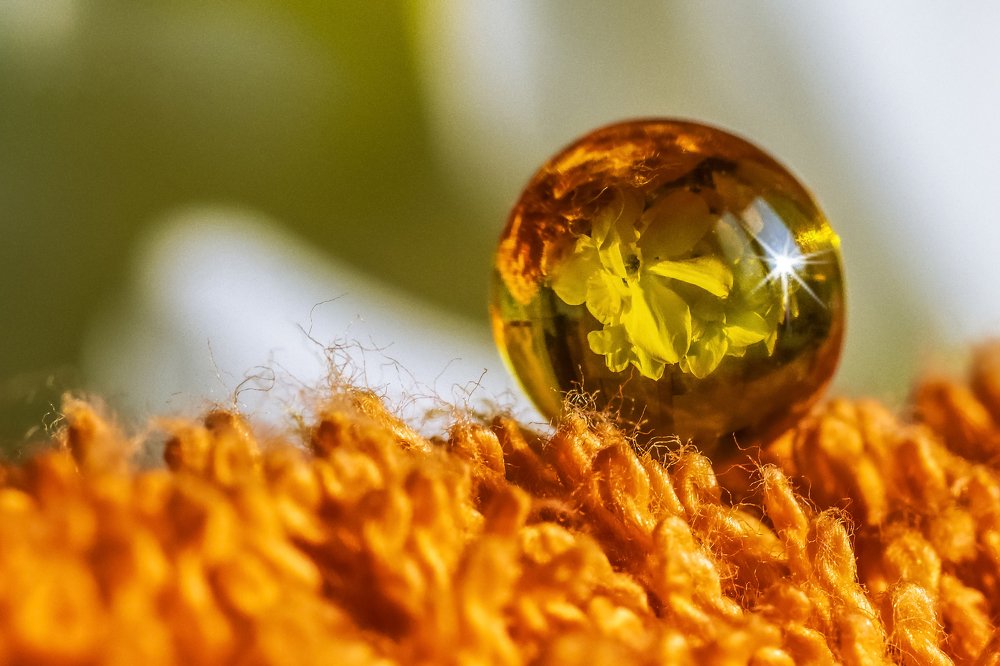 Photograph by Сергей Абрамов