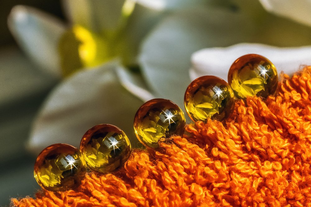 Photograph by Сергей Абрамов