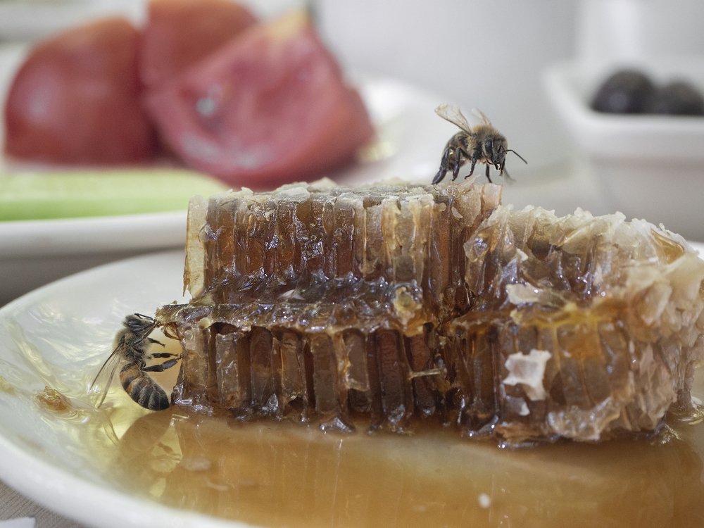 Photograph by Ольга Эркызан