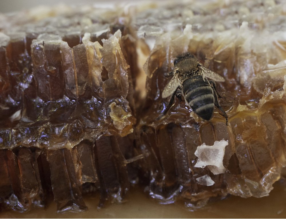 Photograph by Ольга Эркызан