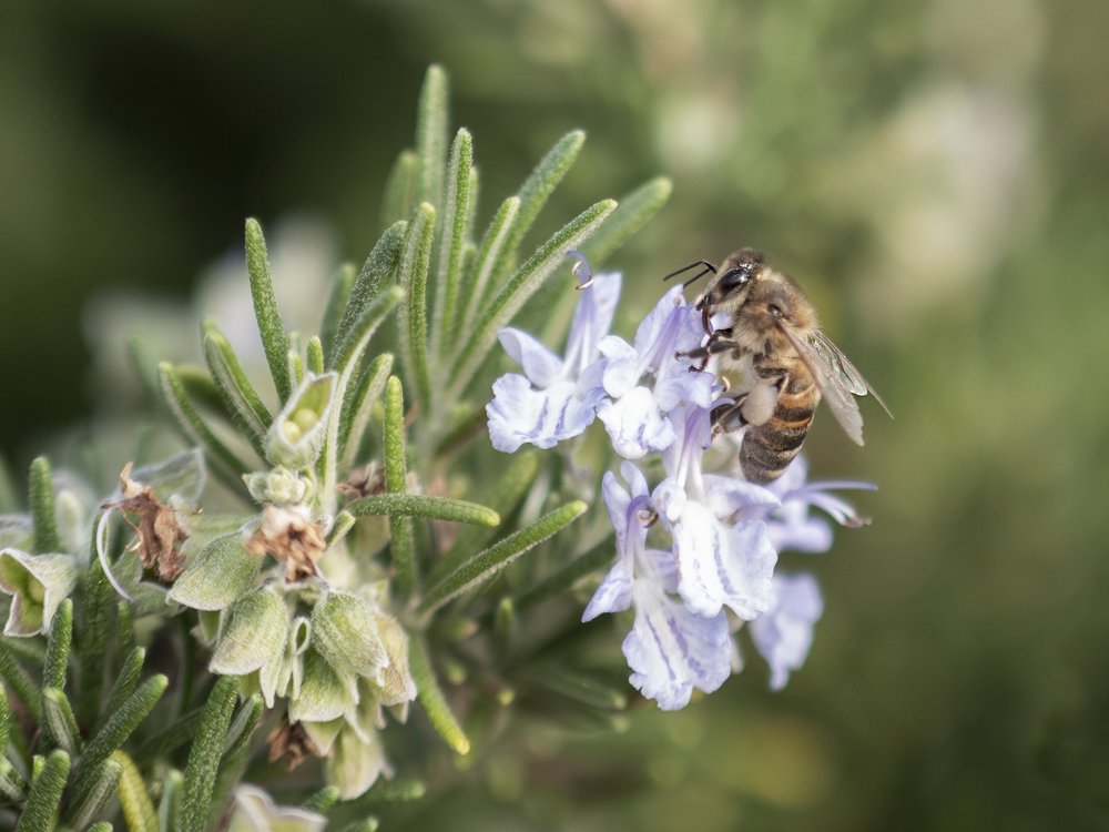 Photograph by Ольга Эркызан