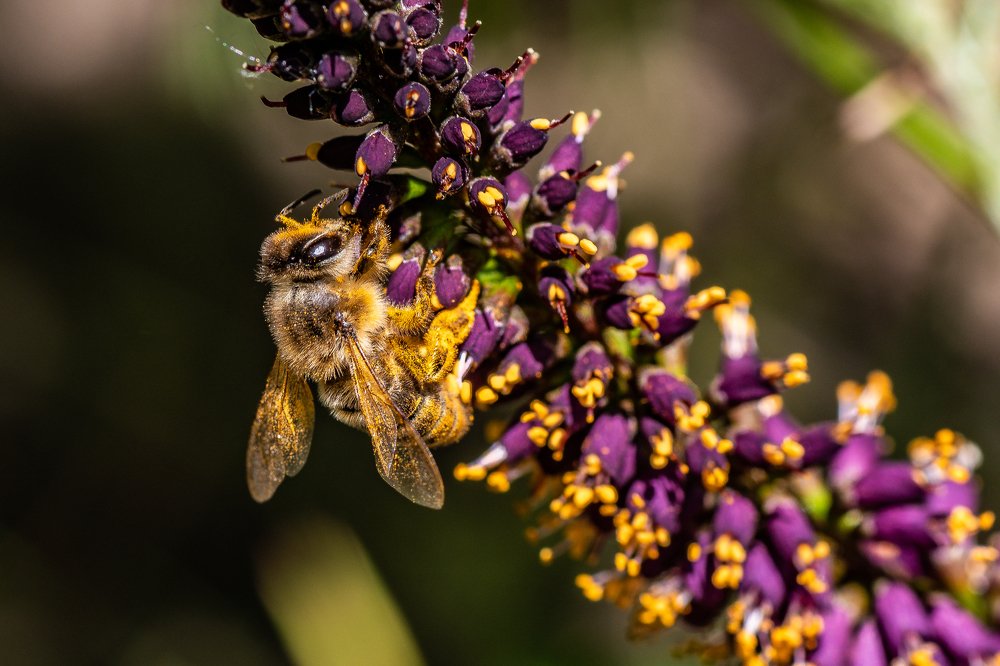 Photograph by Сергей Абрамов