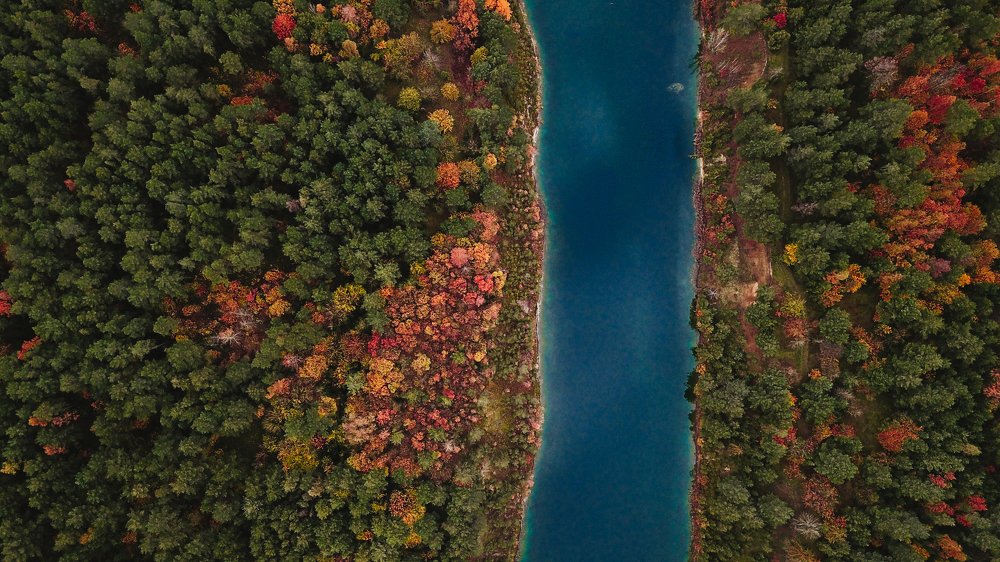 Photograph by Ангелина