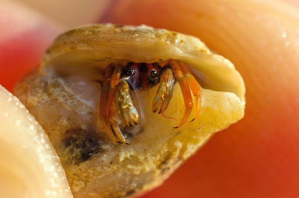 Photograph by Евгений Каримов