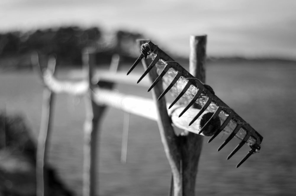 Photograph by Damir Gržin