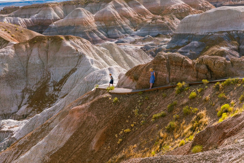 Photograph by Amalya Shandelman