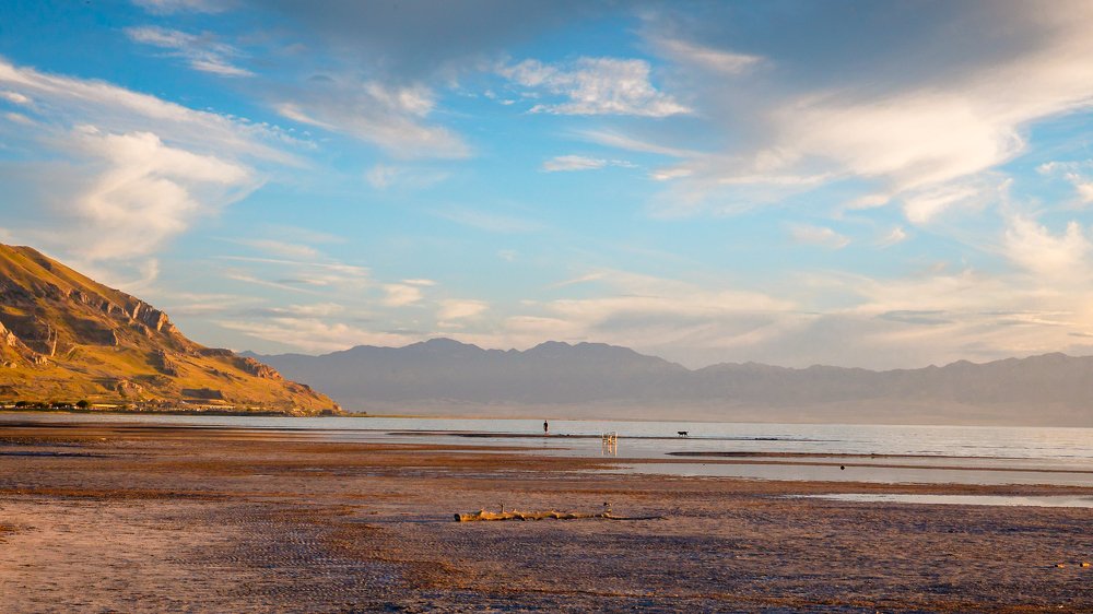 Photograph by Amalya Shandelman