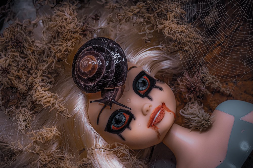 Photograph by Ekaterina Fadeeva