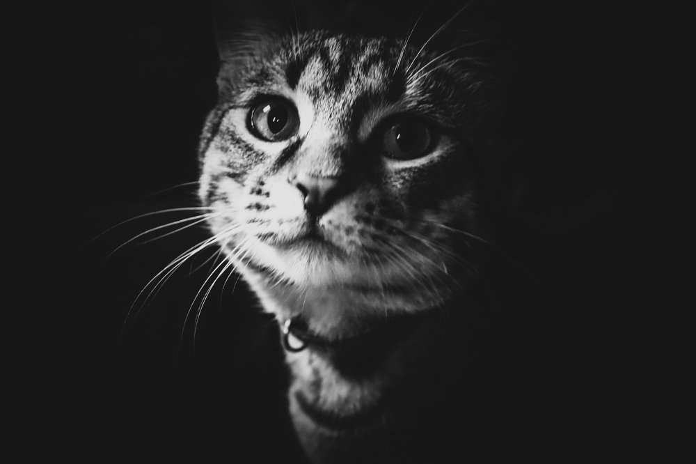 Фотография автора Kristina Kadar