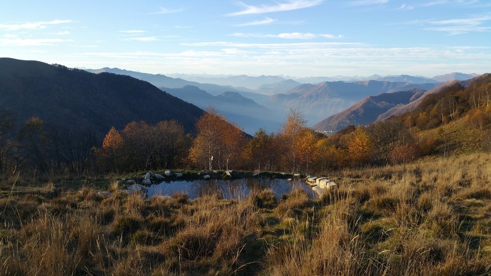 Photograph by Max Ischenko