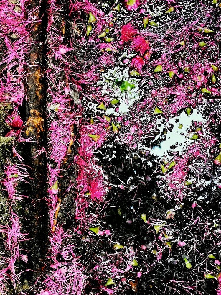 Photograph by Juan Miguel Gruet