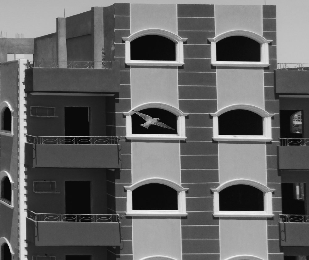 Photograph by Mustafa Ashraf Maklad