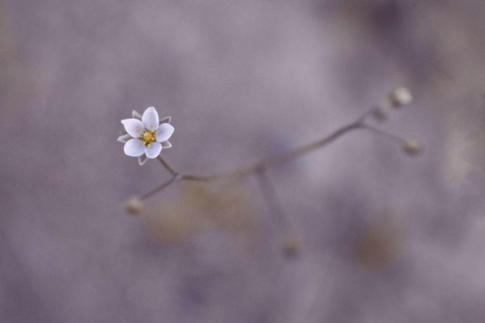 Жизнь под ногами