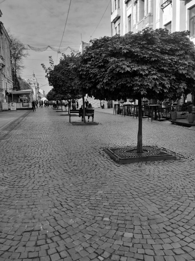 Photograph by Валентин Мішковський