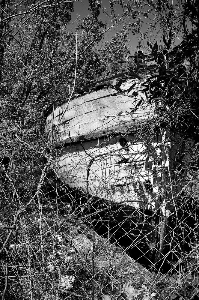 Photograph by Nancy Herculano