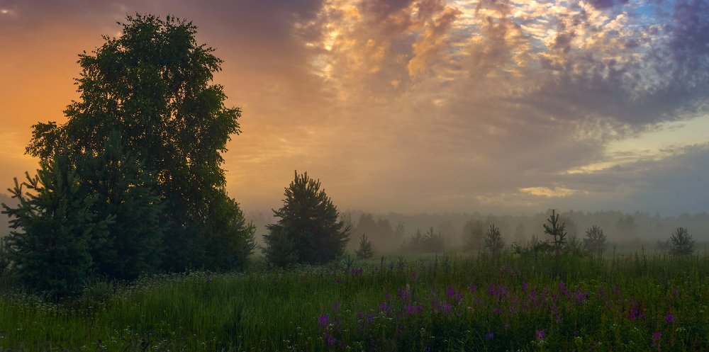Photograph by Дмитрий Алексеев