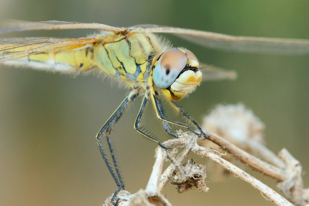 Фотография автора vladimir algazin