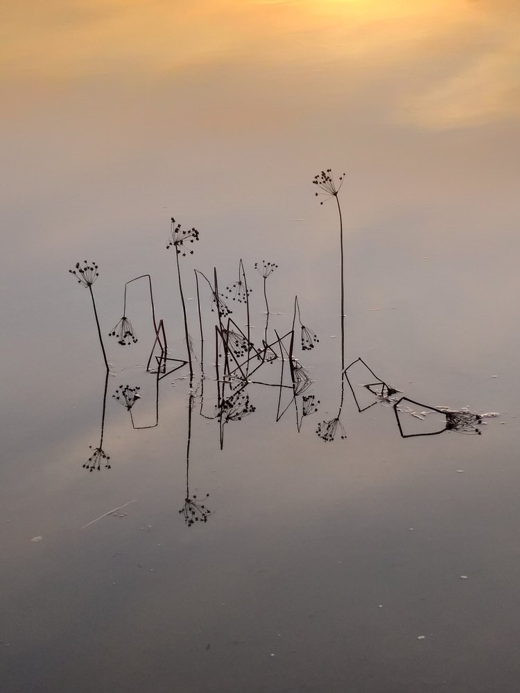 Photograph by Александр Карпенко