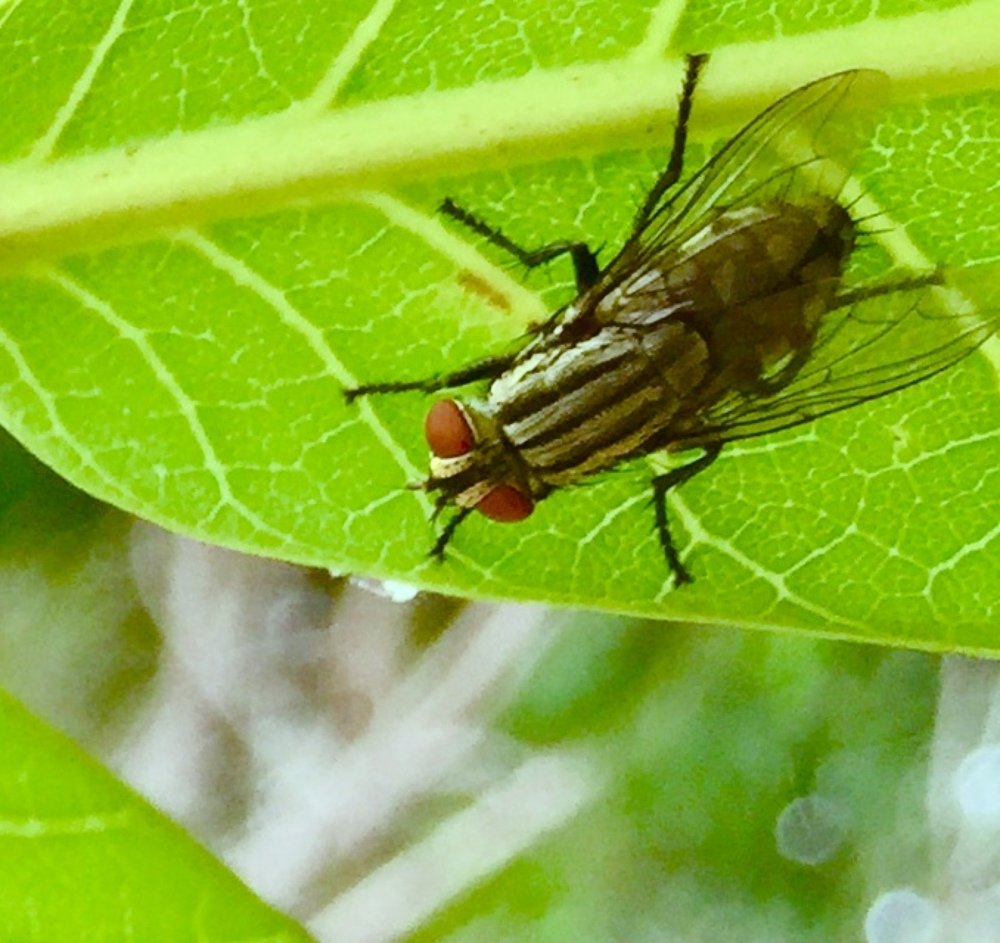 Photograph by thivakaran vayiramuththu