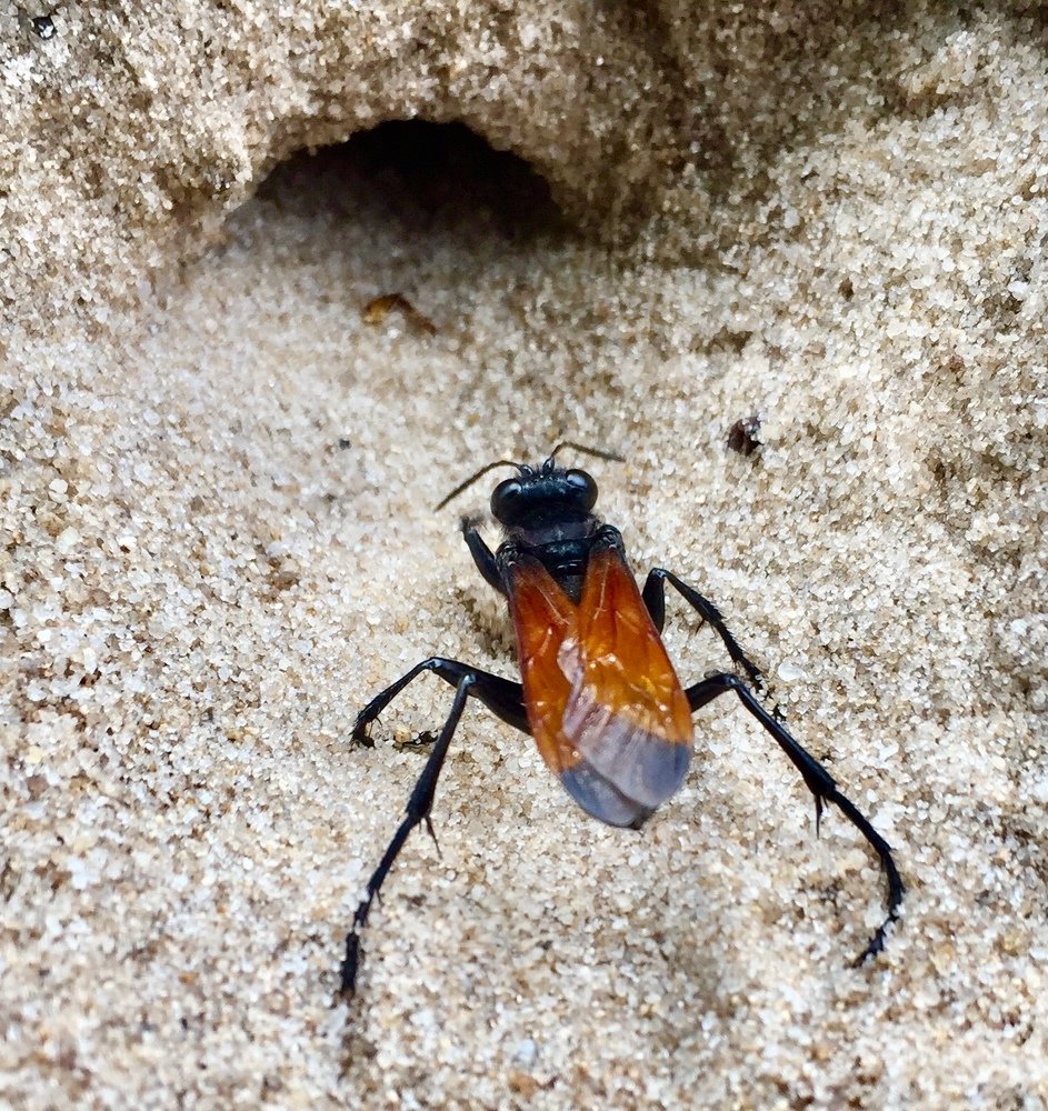 Photograph by thivakaran vayiramuththu
