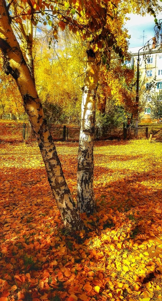 Photograph by Светлана Середина